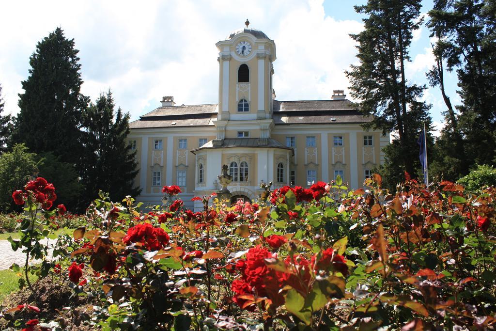 Schlosshotel Rosenau Superior Schloss Rosenau Eksteriør bilde